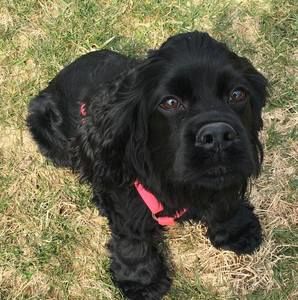 Meet your Posher, Johnathan